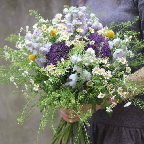 Польовий пухнастик