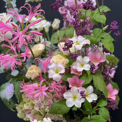 Квіти в коробці «Дивовижні метелики»