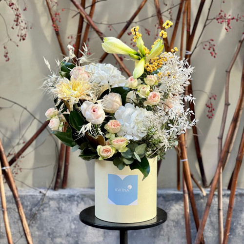 Воздушная композиция в коробке с амариллисом «Морозная звёздочка»