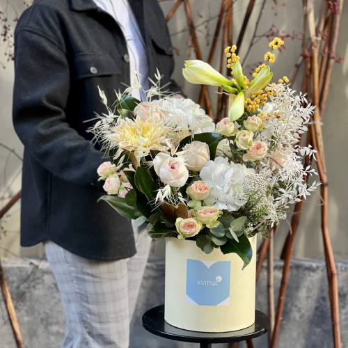 Воздушная композиция в коробке с амариллисом «Морозная звёздочка»