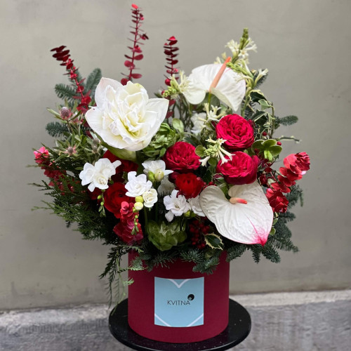 Bright winter composition in a box with amaryllis «Ruby Morning»