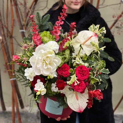 Bright winter composition in a box with amaryllis «Ruby Morning»