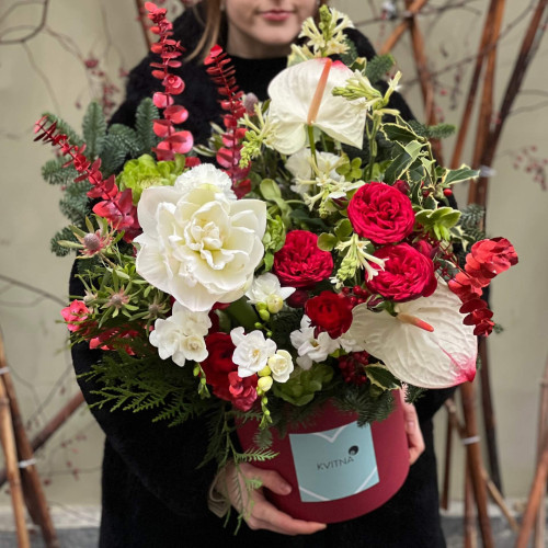 Bright winter composition in a box with amaryllis «Ruby Morning»