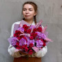 Bright bouquet with dianthus and spray roses «Interesting Accent»