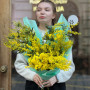 7 гілок ароматної пухнастої мімози у букеті «Італійське сонце»