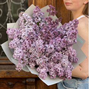 15 гілок ароматного бузку у букеті «Травнева мрія»