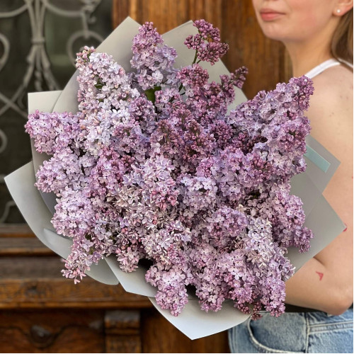 15 гілок ароматного бузку у букеті «Травнева мрія»