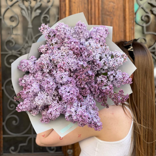 15 гілок ароматного бузку у букеті «Травнева мрія»