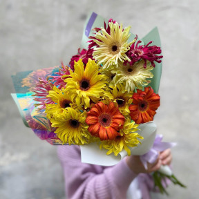 Мікс яскравих гербер «Pastini»