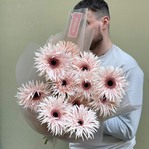 11 гербер «Квіткове морозиво»