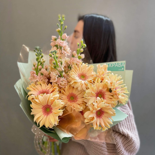 Гербера-Маттиола «Сладкий нектар»