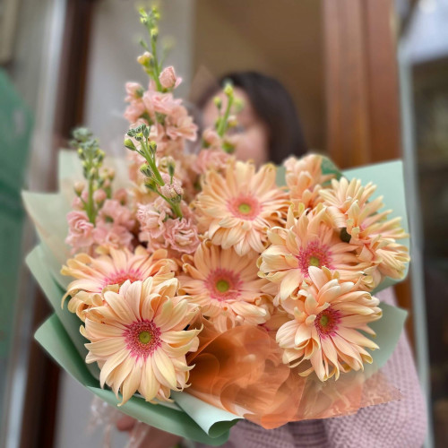 Гербера-Маттиола «Сладкий нектар»