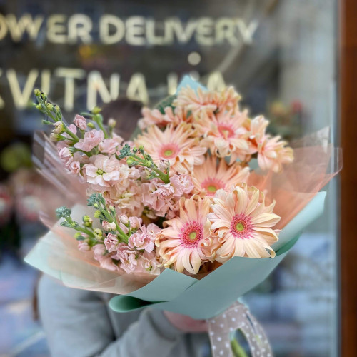 Гербера-Маттиола «Сладкий нектар»