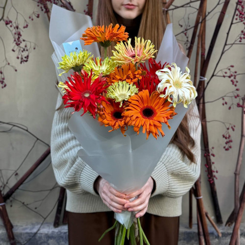 Яскравий мікс із 17 гербер колекції Pasta «Італійська паста»