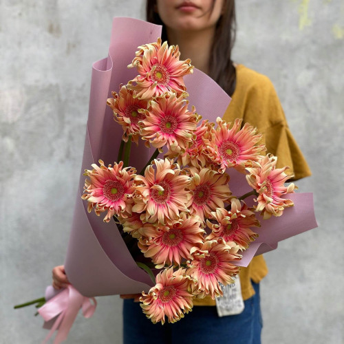 15 гербер «Pasta Rosata»