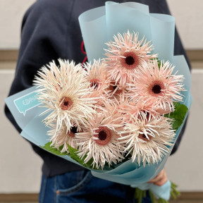 Гербера «Cream Spring»