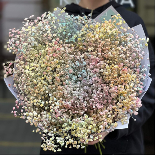 Різнобарвний букет із 17 гілок гіпсофіли «Пилок феї»