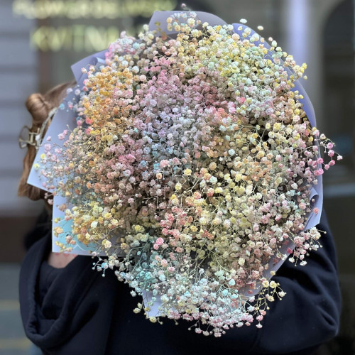 Різнобарвний букет із 17 гілок гіпсофіли «Пилок феї»