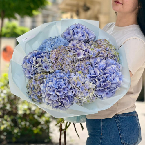11 гортензій у букеті «Світанкове небо»