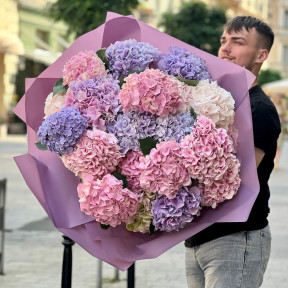 31 гортензія у букеті «Літня акварель»