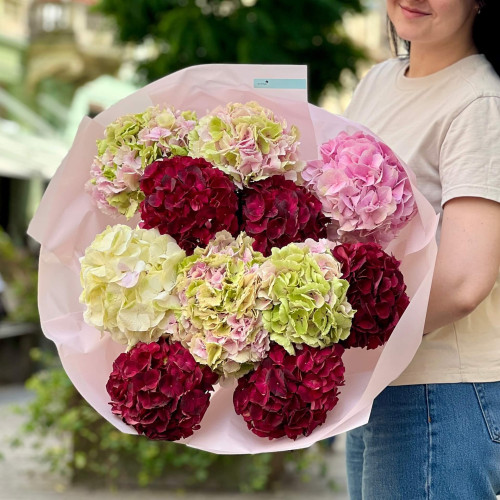 11 гортензій у букеті «Ранок у Бордо»