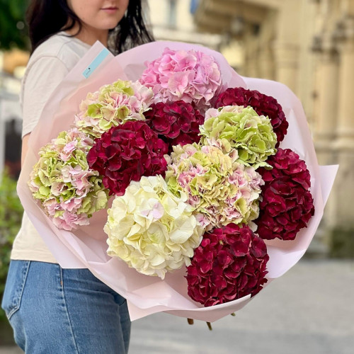 11 гортензій у букеті «Ранок у Бордо»