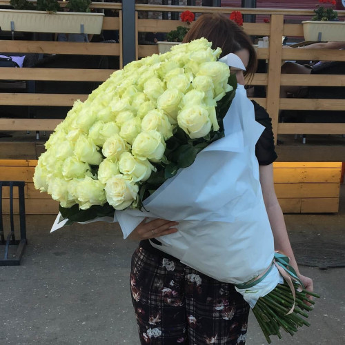 Величезний букет 151 біла троянда