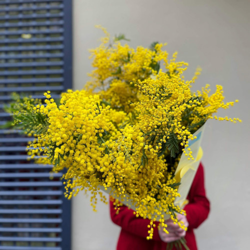 Букет із мімози «Аромат Італії»