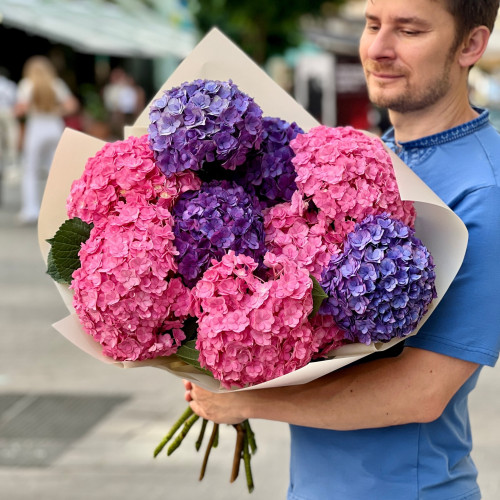 Великий букет з 9 гортензій «Чорничний сорбет»