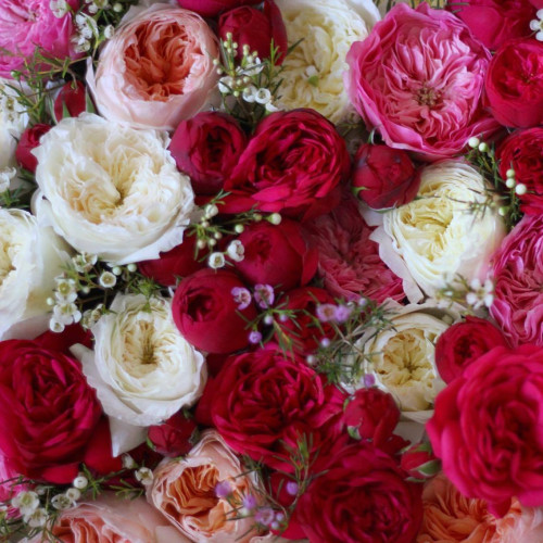 Велетеньське серце з піоновидними трояндами