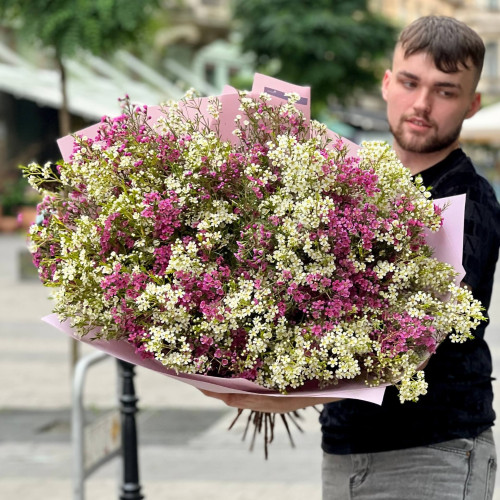 51 гілка хамелаціуму у букеті «Феєричні відтінки»