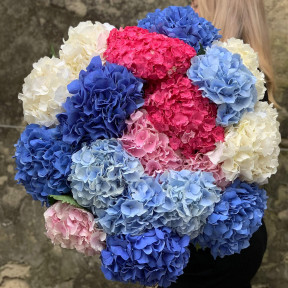 Микс 19 гортензий «Сочные облака»