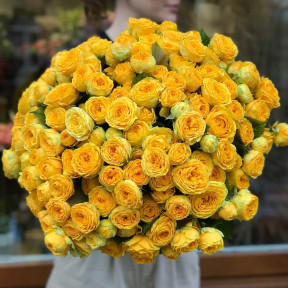 Кущова піоновидна троянда «Luna Trendsetter» - 51 гілка