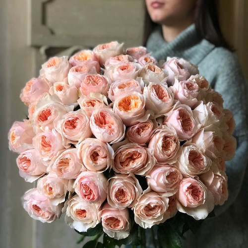 51 peony roses "Juliet"