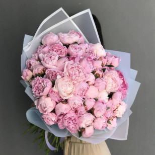 51 pink peony
