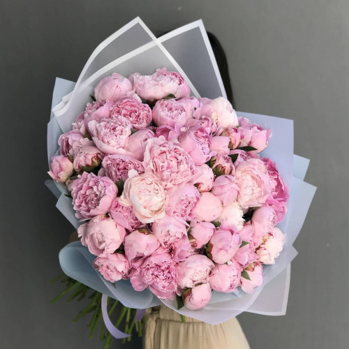 51 розовый пион