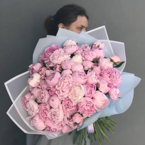 51 розовый пион