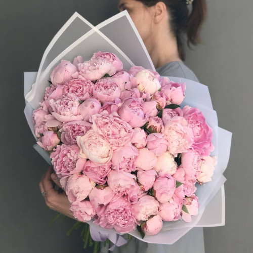 51 розовый пион