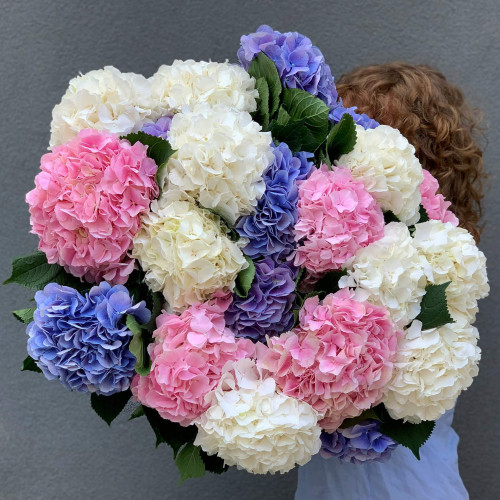 Шикарный микс из 21 гортензии «Пастель»