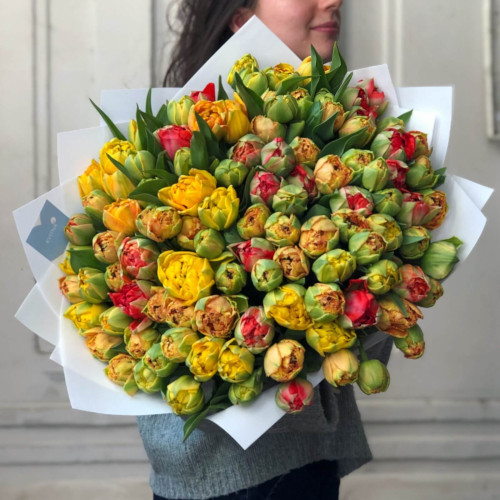 Мікс 101 тюльпан «Сонячна планета»