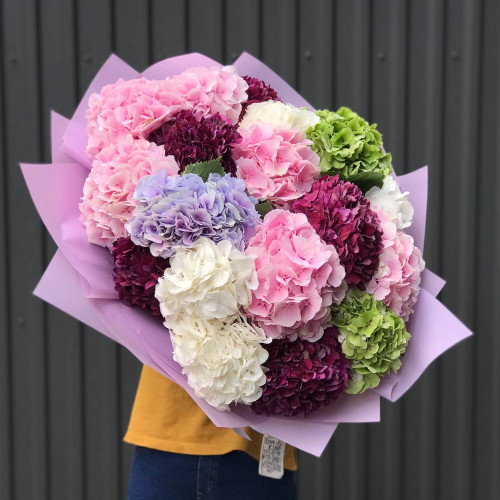 Микс из 17 гортензий