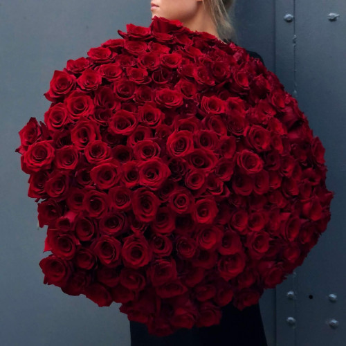 Величезний букет з 201 червоної троянди «Океан Пристрасті»