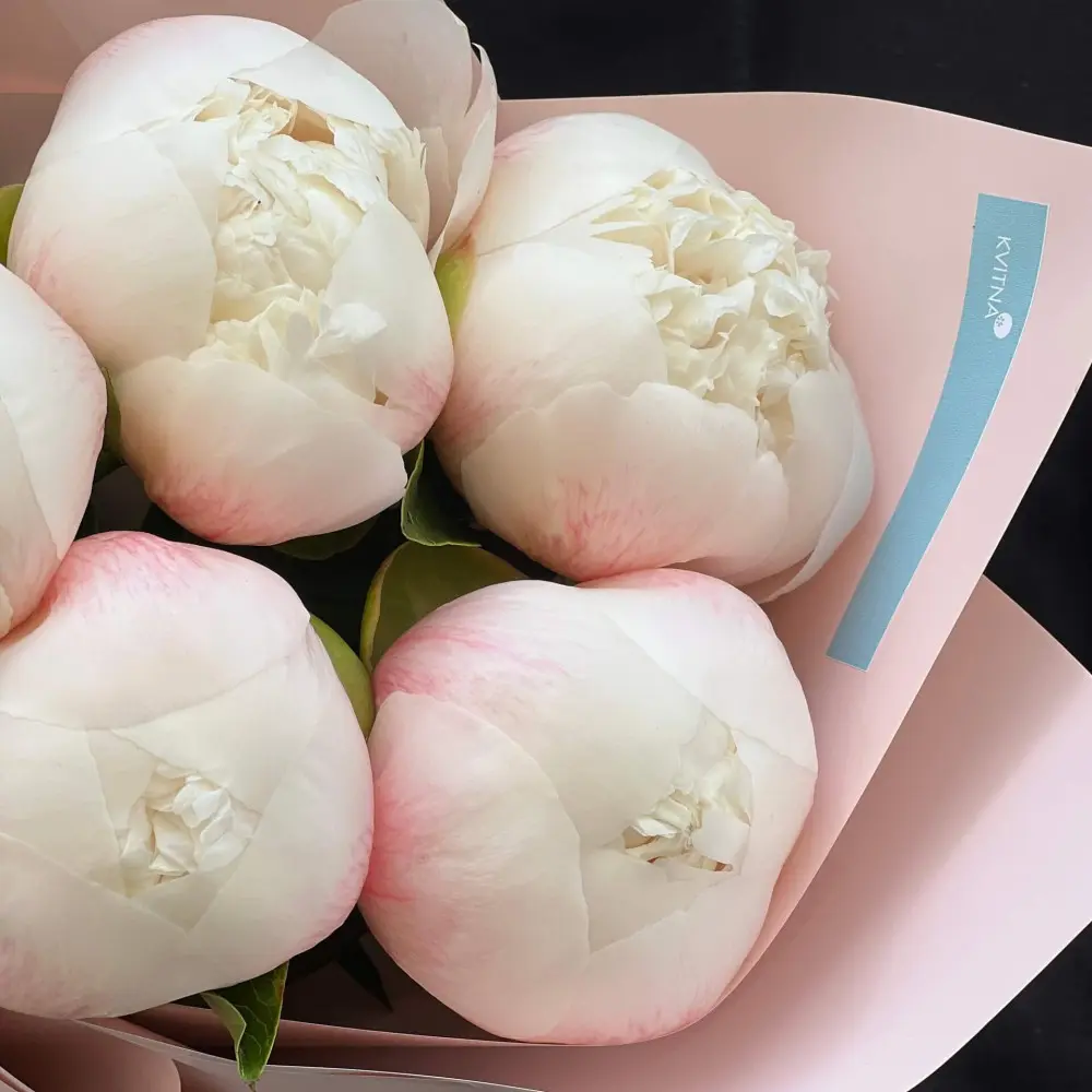 5 Colonel Owen Cousins chic peonies price 2 040 грн delivery to