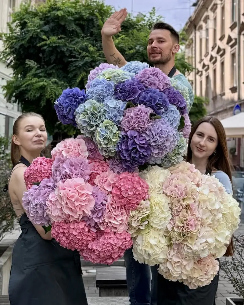 Bouquets of hydrangea ➨ buy hydrangea in Lviv, Ukraine, price