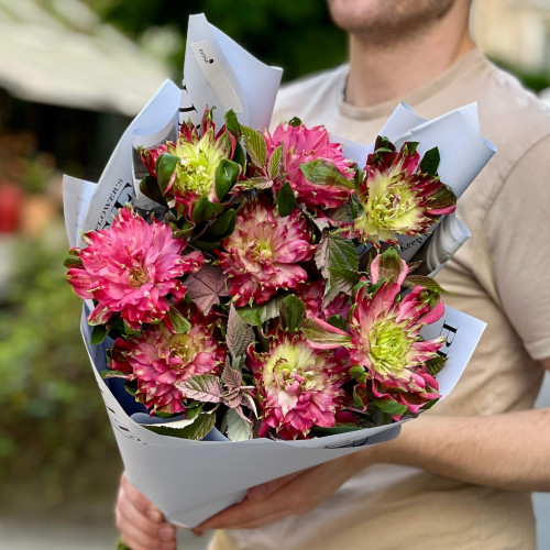 9 ексклюзивних альстромерій у букеті «Незвична квіточка»