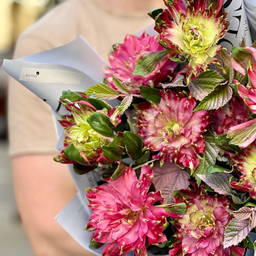 9 ексклюзивних альстромерій у букеті «Незвична квіточка»