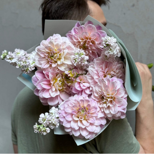 Світлий букет із жоржин та запашної матіоли «Витончена ніжність»