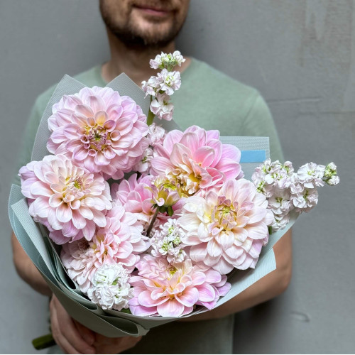 Світлий букет із жоржин та запашної матіоли «Витончена ніжність»