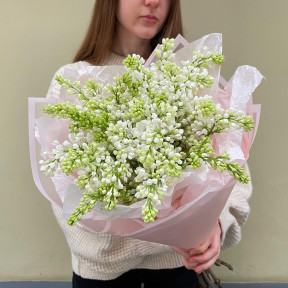 Білий бузок 7 гілок