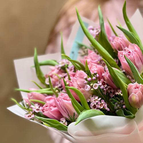 Букет з тюльпанів та хамелаціуму «Рожева нотка»
